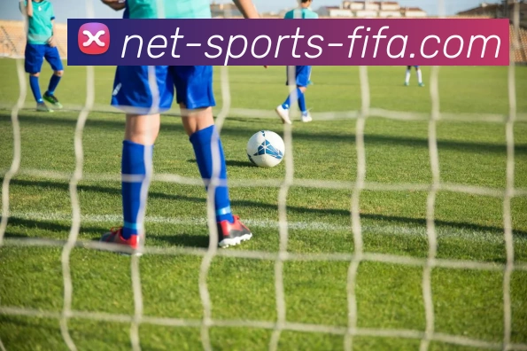 世界杯竞猜平台平台生态图